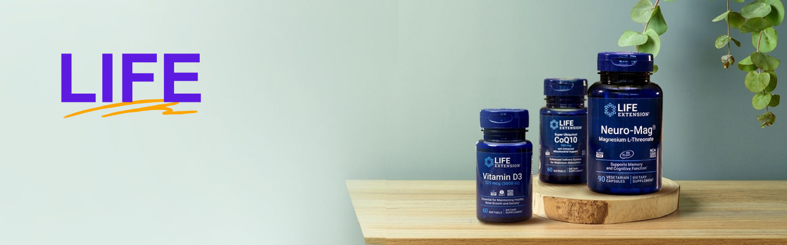 your paragraph text (4)